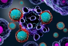 +nxBvIAAAAAXRSTlMAQObYZgAAABZJREFUOI1jYMADmEe5o9xR7iiXQi4A4BsA388WUyMAAAAASUVORK5CYII=