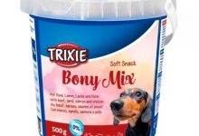 +nxBvIAAAAAXRSTlMAQObYZgAAABZJREFUOI1jYMADmEe5o9xR7iiXQi4A4BsA388WUyMAAAAASUVORK5CYII=